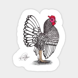 Chicken Sticker